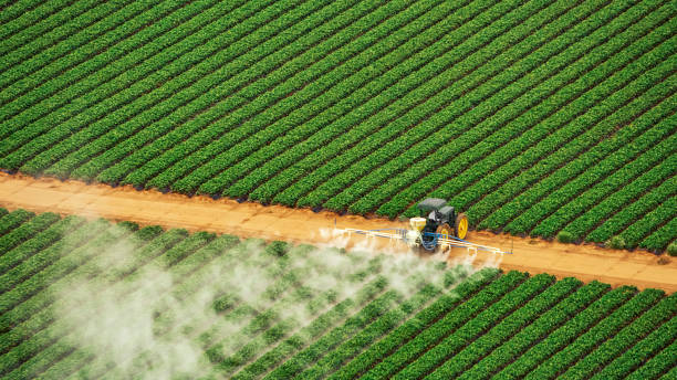 Reliable Kinston, NC Pest Control Solutions